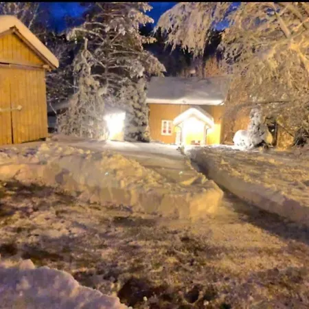 Rindalsskogen *