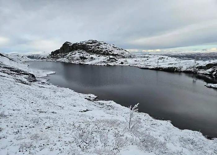 Rindalsskogen Feriehus Lofald
