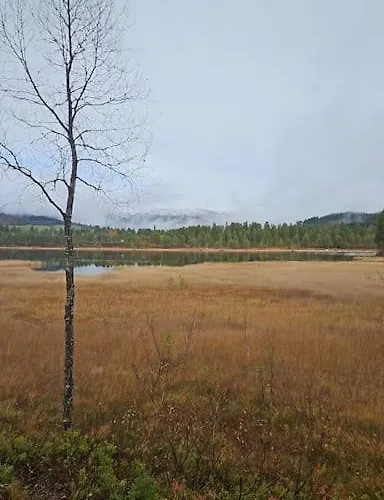 Feriehus Rindalsskogen Lofald