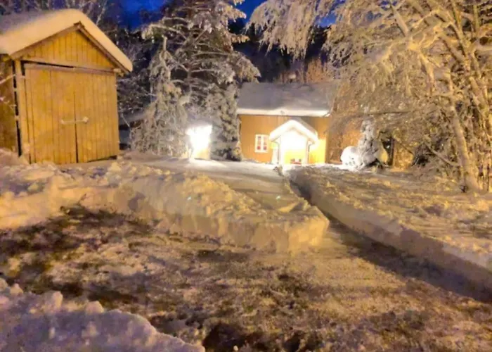 Rindalsskogen *