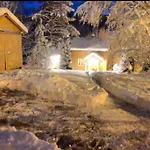 Rindalsskogen *